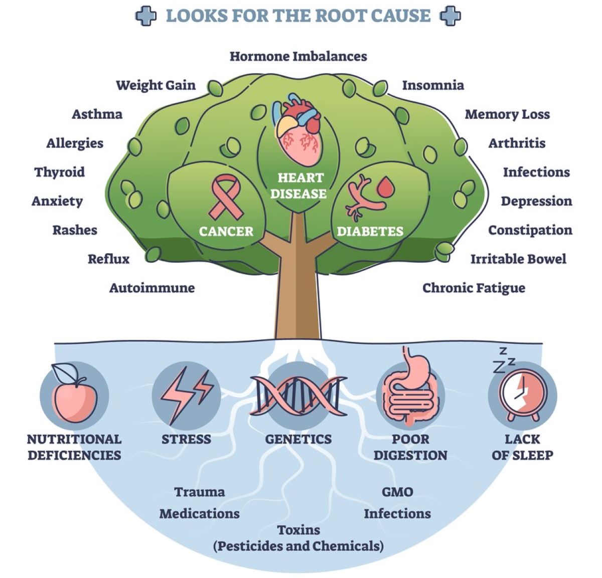 Precision functional medicine looks for the root cause of disease