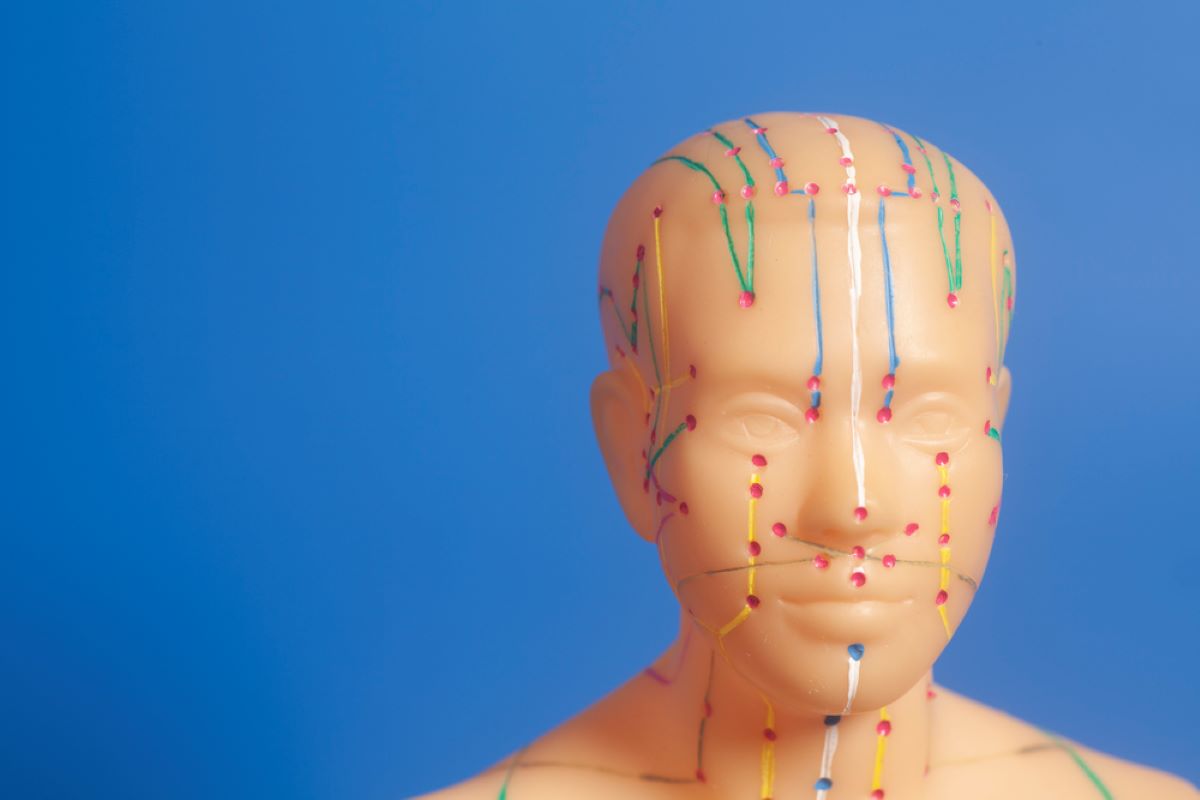 scalp acupuncture head model